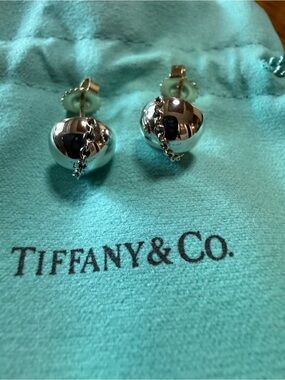 New Authentic Tiffany & Co. Silver Bolt Earrings